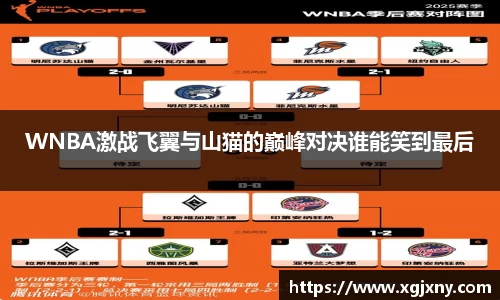 WNBA激战飞翼与山猫的巅峰对决谁能笑到最后